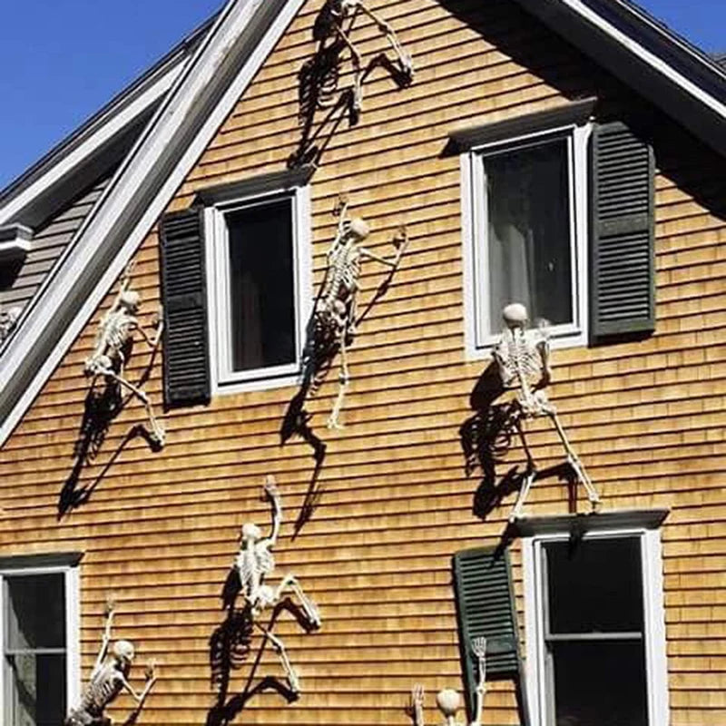 40/90cm Halloween Skeletons