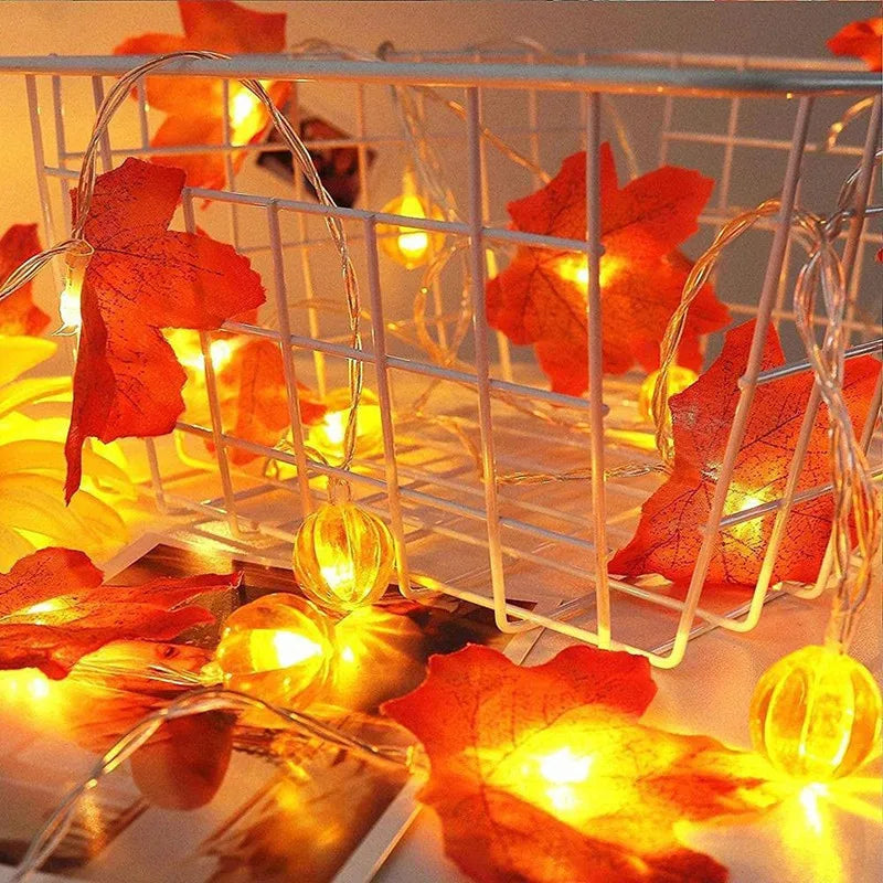 LED Halloween Light
