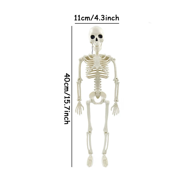 40/90cm Halloween Skeletons