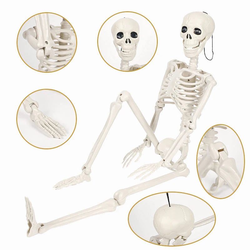 40/90cm Halloween Skeletons