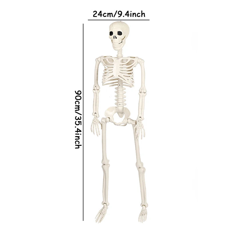 40/90cm Halloween Skeletons